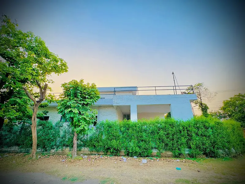 Picture of the Property