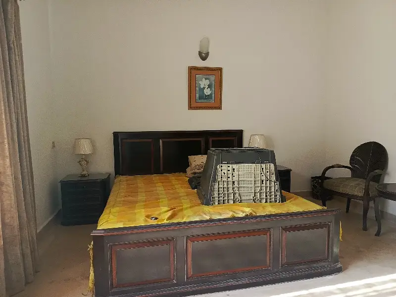 Picture of the Property