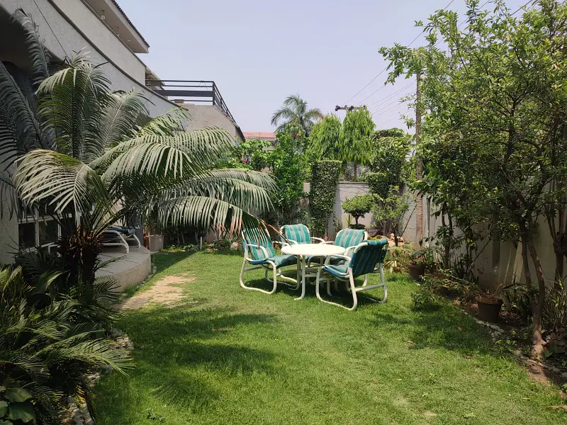 Picture of the Property