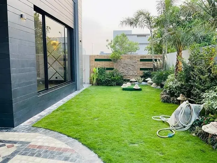 Picture of the Property