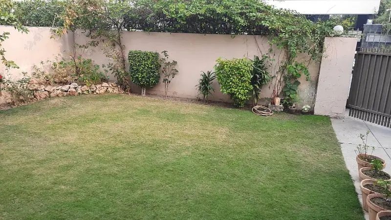Picture of the Property