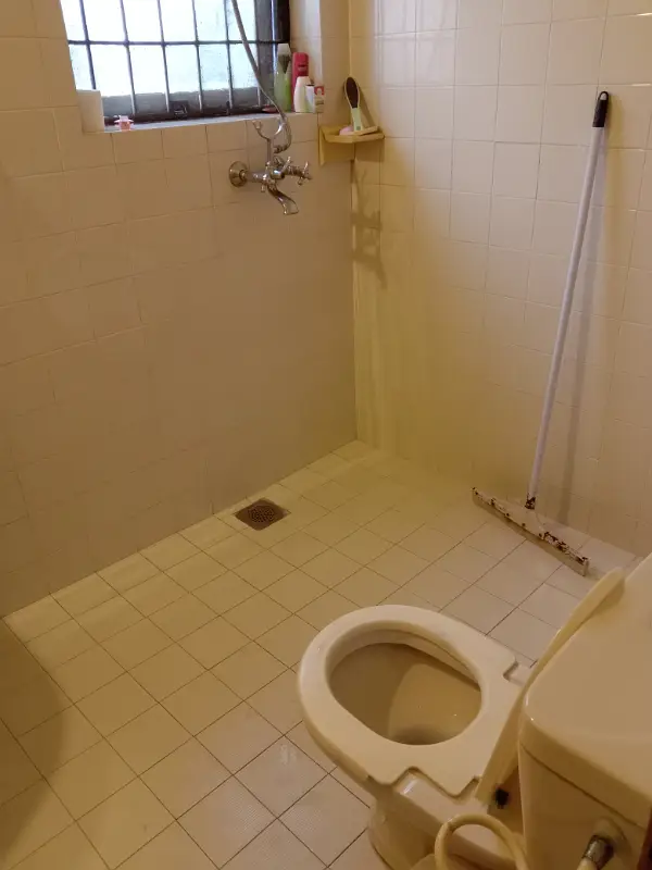 Picture of the Property