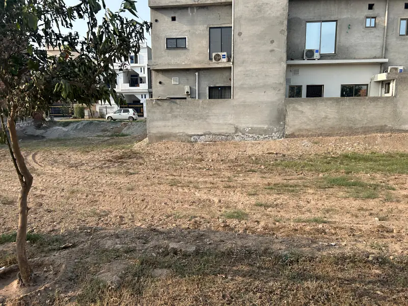 Picture of the Property