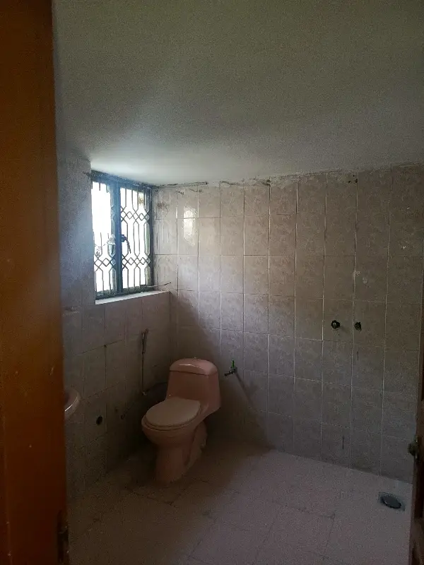 Picture of the Property