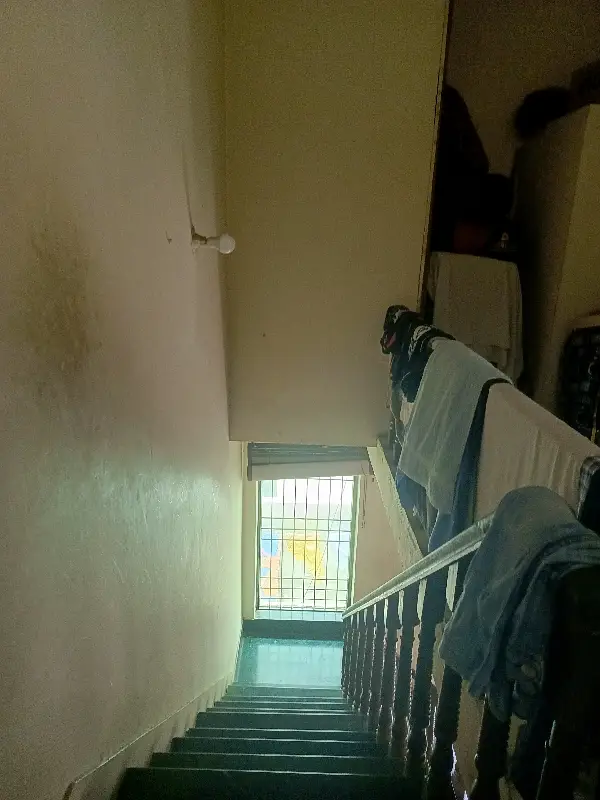 Picture of the Property
