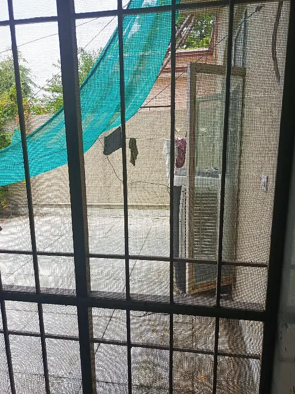 Picture of the Property