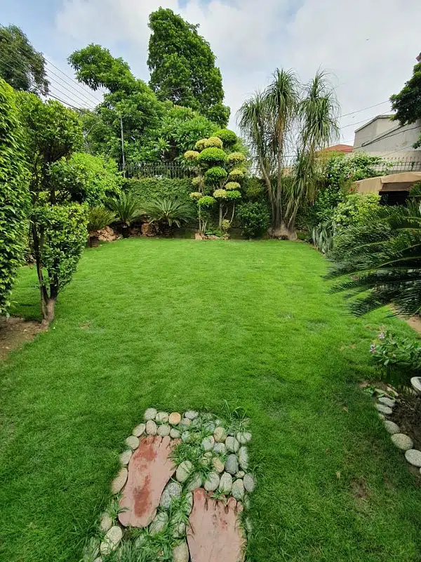 Picture of the Property