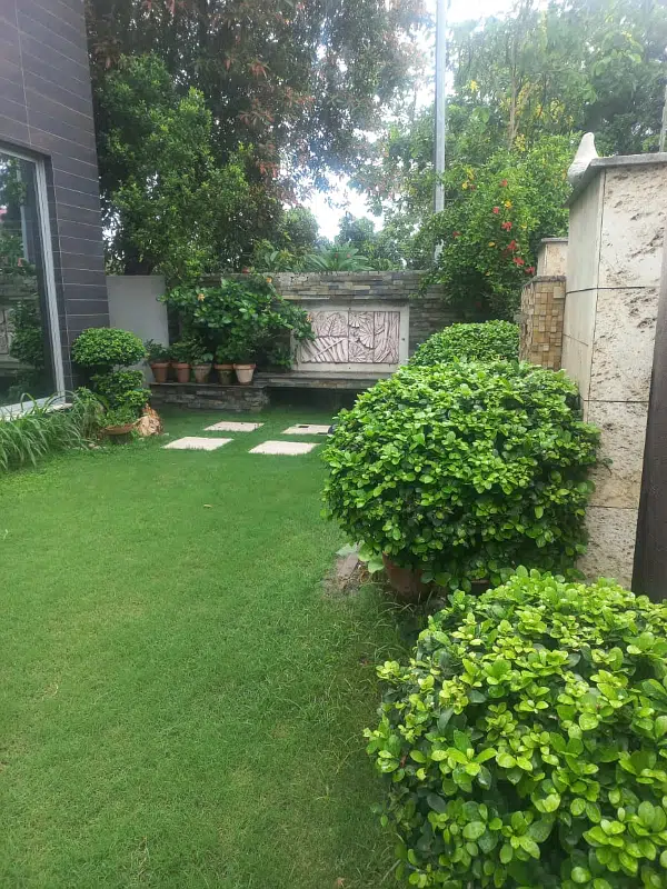 Picture of the Property