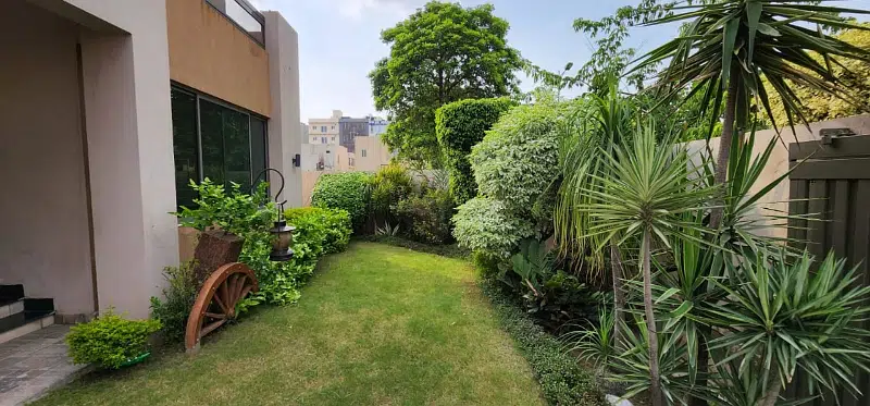 Picture of the Property