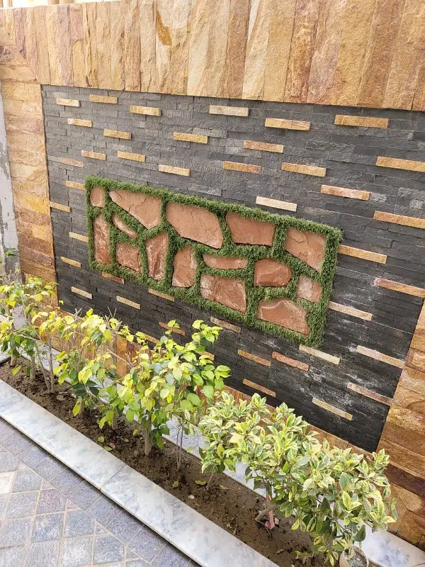 Picture of the Property