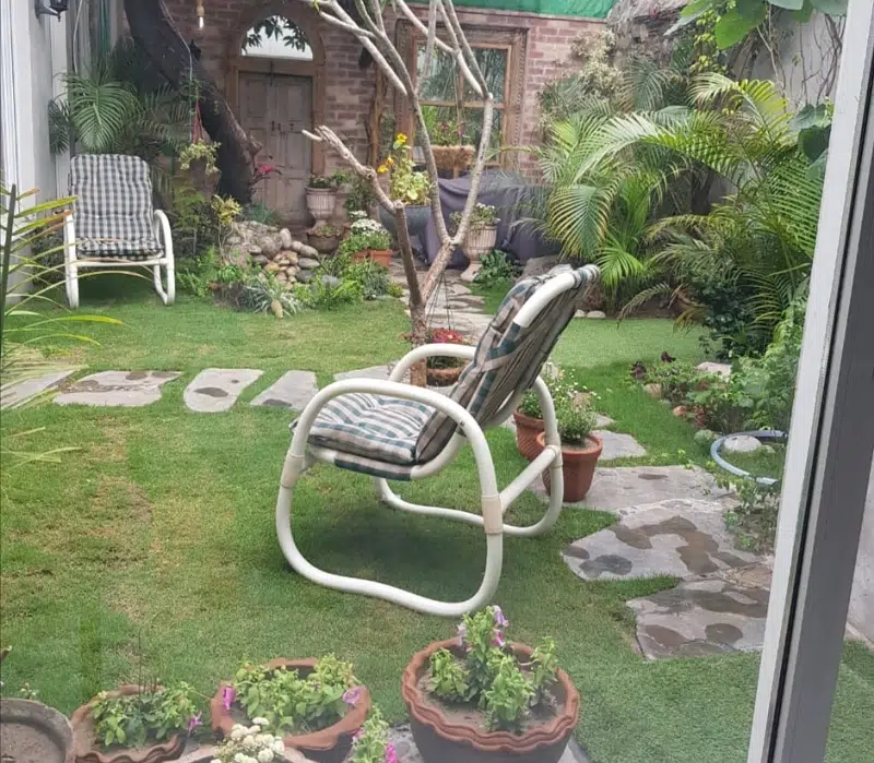 Picture of the Property