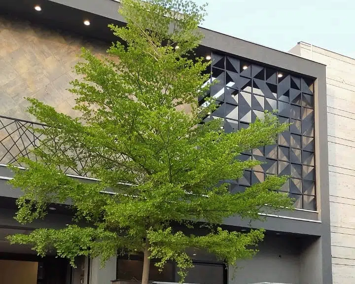 Picture of the Property