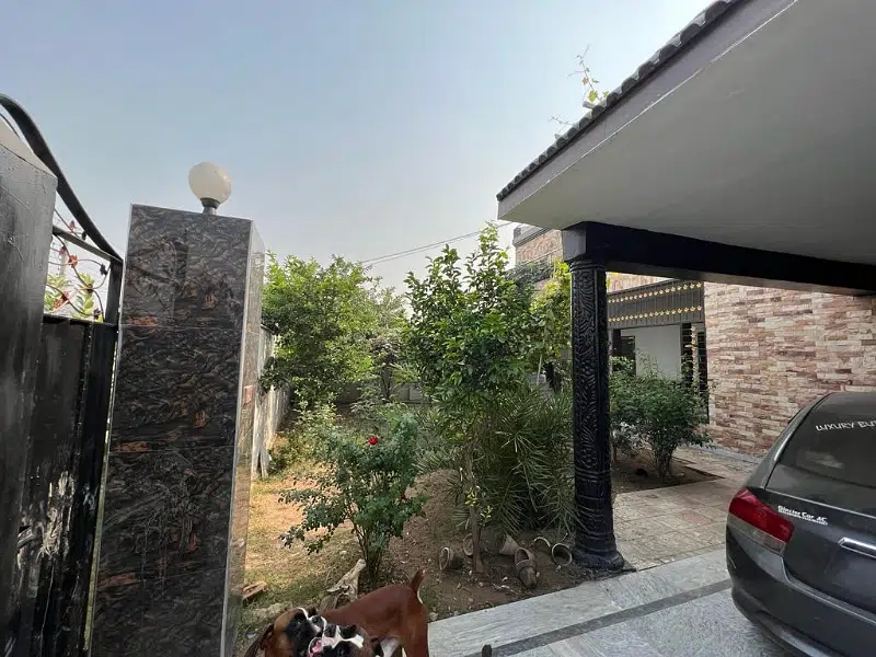 Picture of the Property