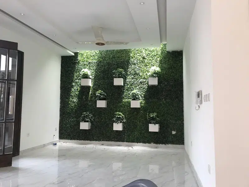 Picture of the Property