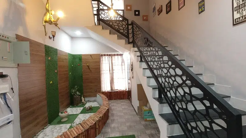 Picture of the Property