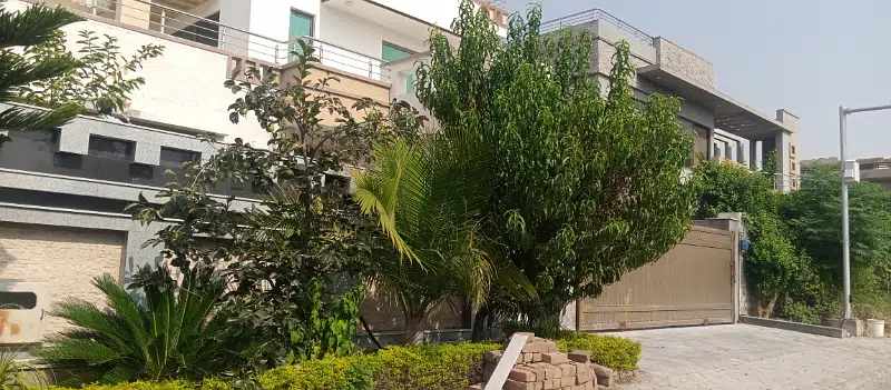 Picture of the Property